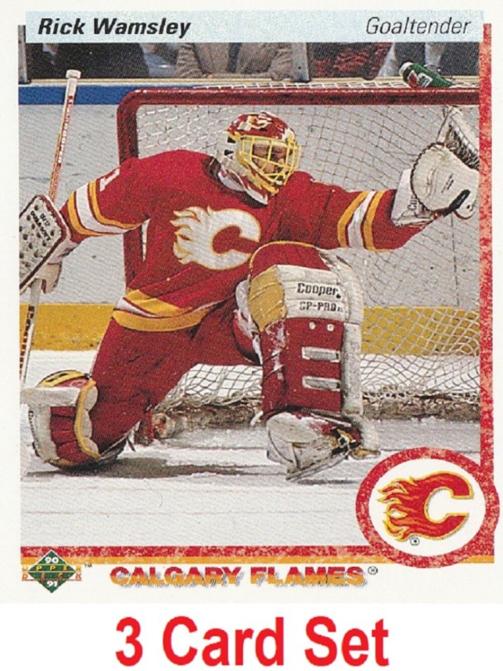 Rick Wamsley Hockey Card Collection